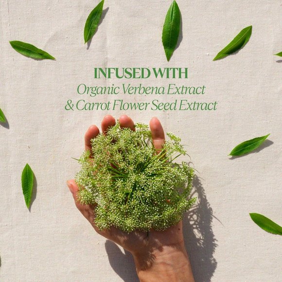 L'Occitane LIMITED EDITION Verbena Carrot Flower Hand Cream Trio set X 3 NIB - Picture 5 of 7